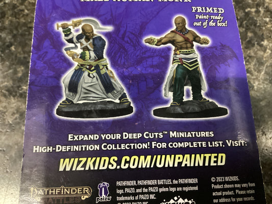 Wizk Human Monk