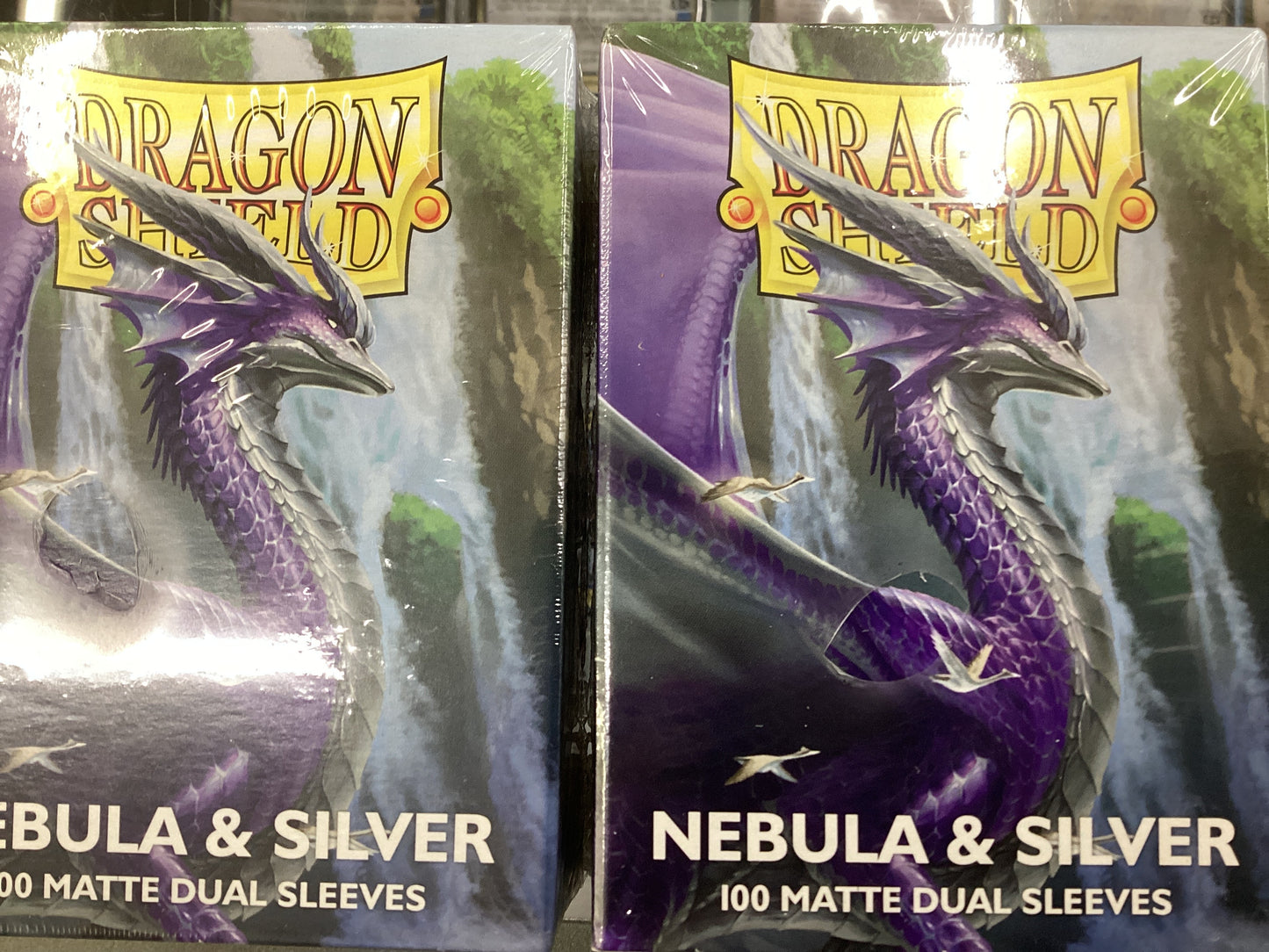 Dragonshield Nebula and Silver