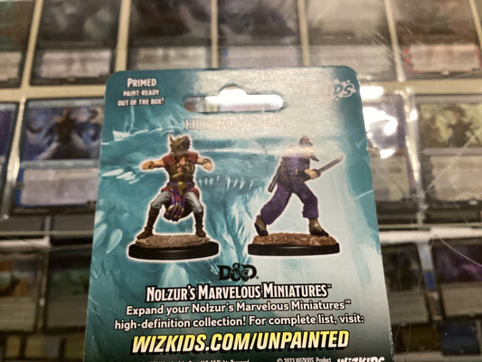 Wizk Human Monk